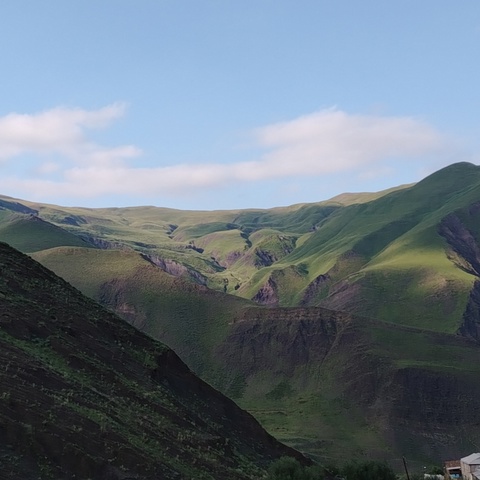 Энрики Келбиханов