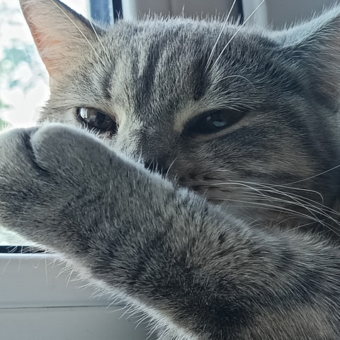 Тимур Ильюп